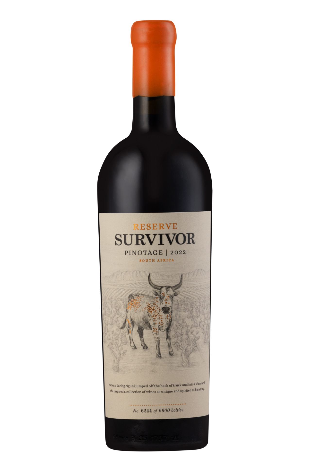 Survivor Reserve Pinotage 2022 20240426 0012 1