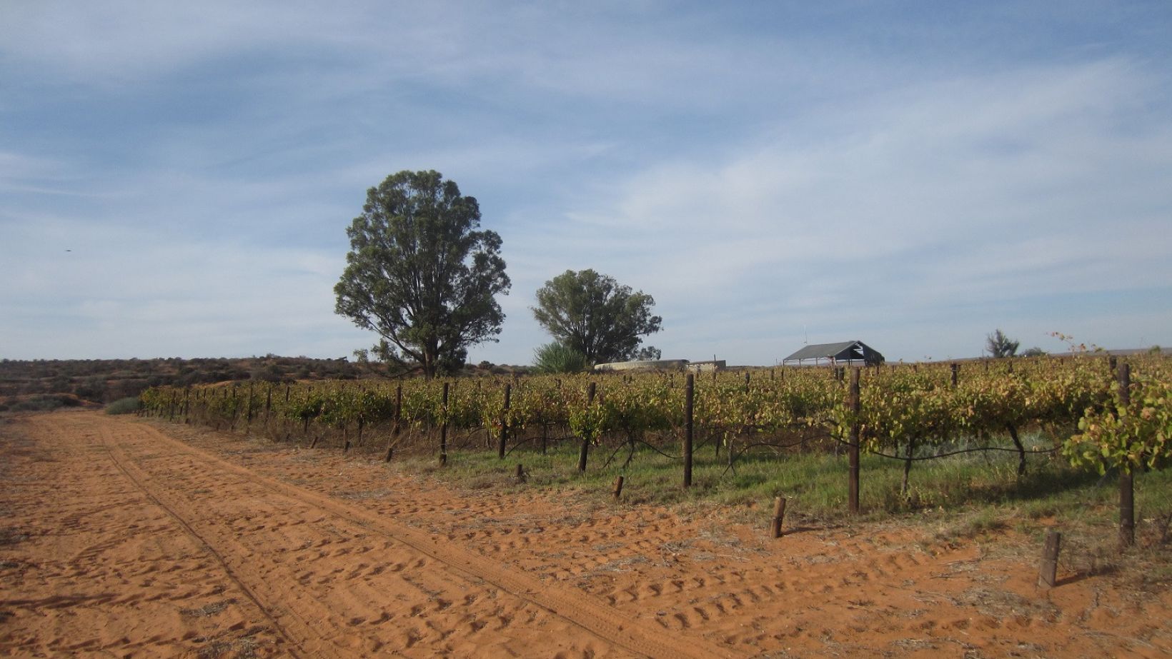 Winery wastewater