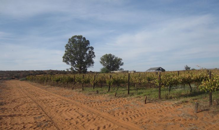 In field fractional use of winery wastewater with raw water Part 4