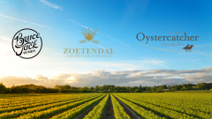 Agulhas Wine Triangle