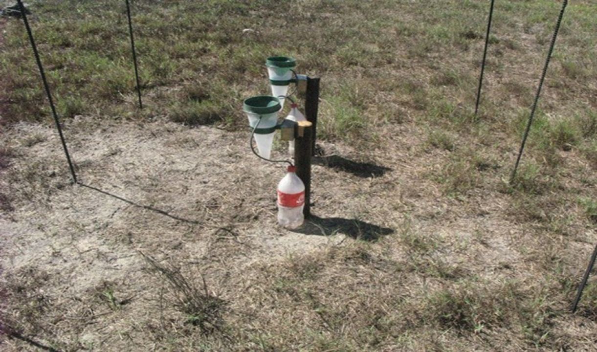 Winery wastewater irrigation Part 1 Figure 1