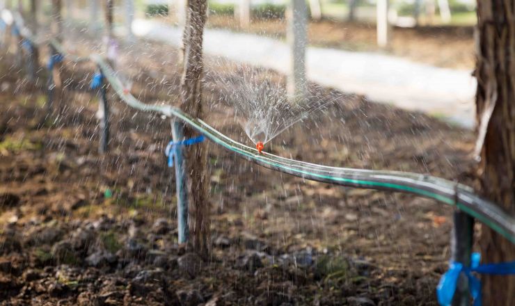 Winery wastewater irrigation Part 1 Shutterstock