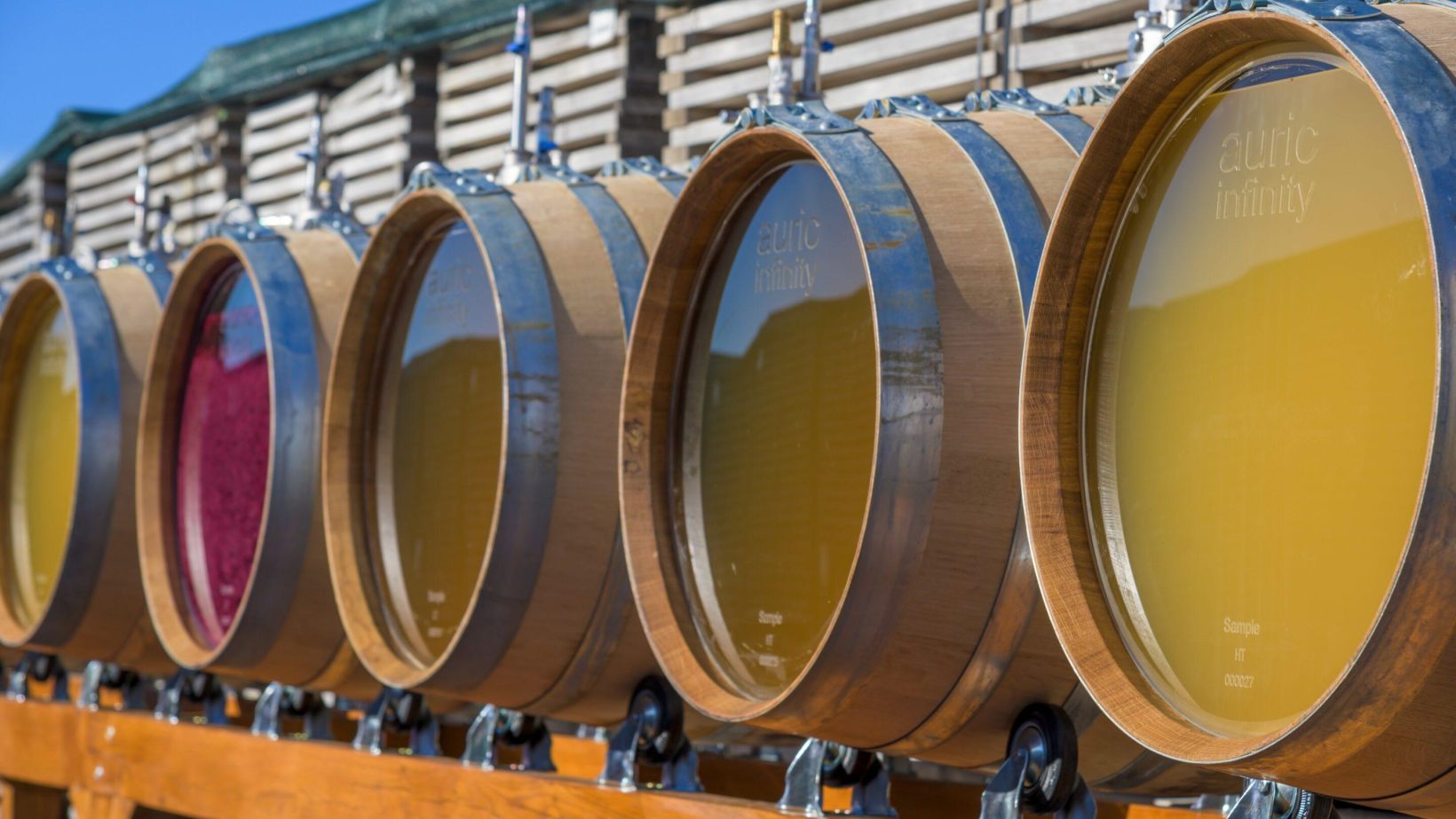 Auric barrels side