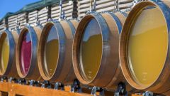 Auric barrels side