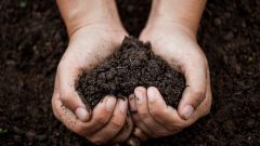 Fascinating world of terroir in winemaking Part 1 Shutterstock