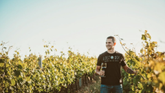 Trevor in vineyards