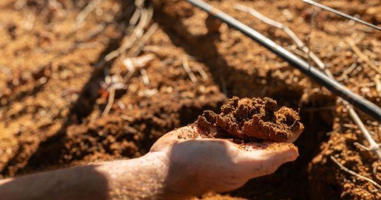 Red clay the vineyards secret weapon