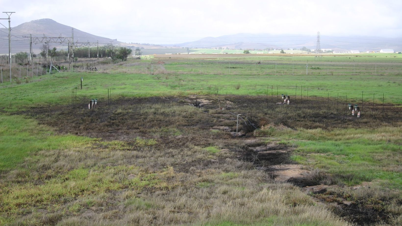 Winery wastewater