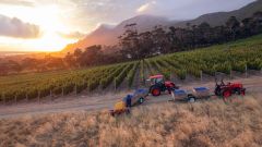 Harvest Vineyards Sunrise min 2