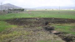 Winery wastewater irrigation Part 2