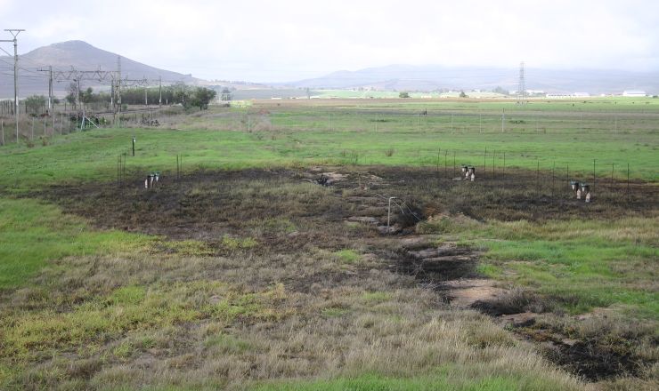 Winery wastewater irrigation Part 2