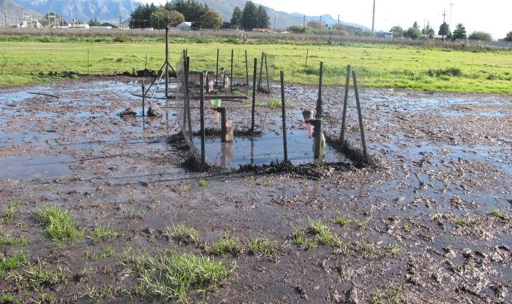 Winery wastewater irrigation Part 3
