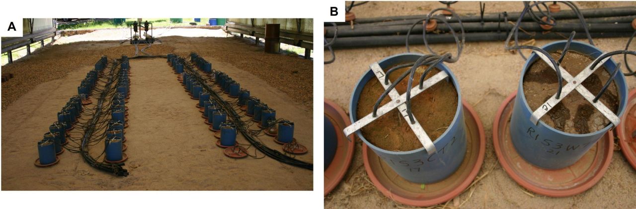 Winery wastewater irrigation Figure 1 A B