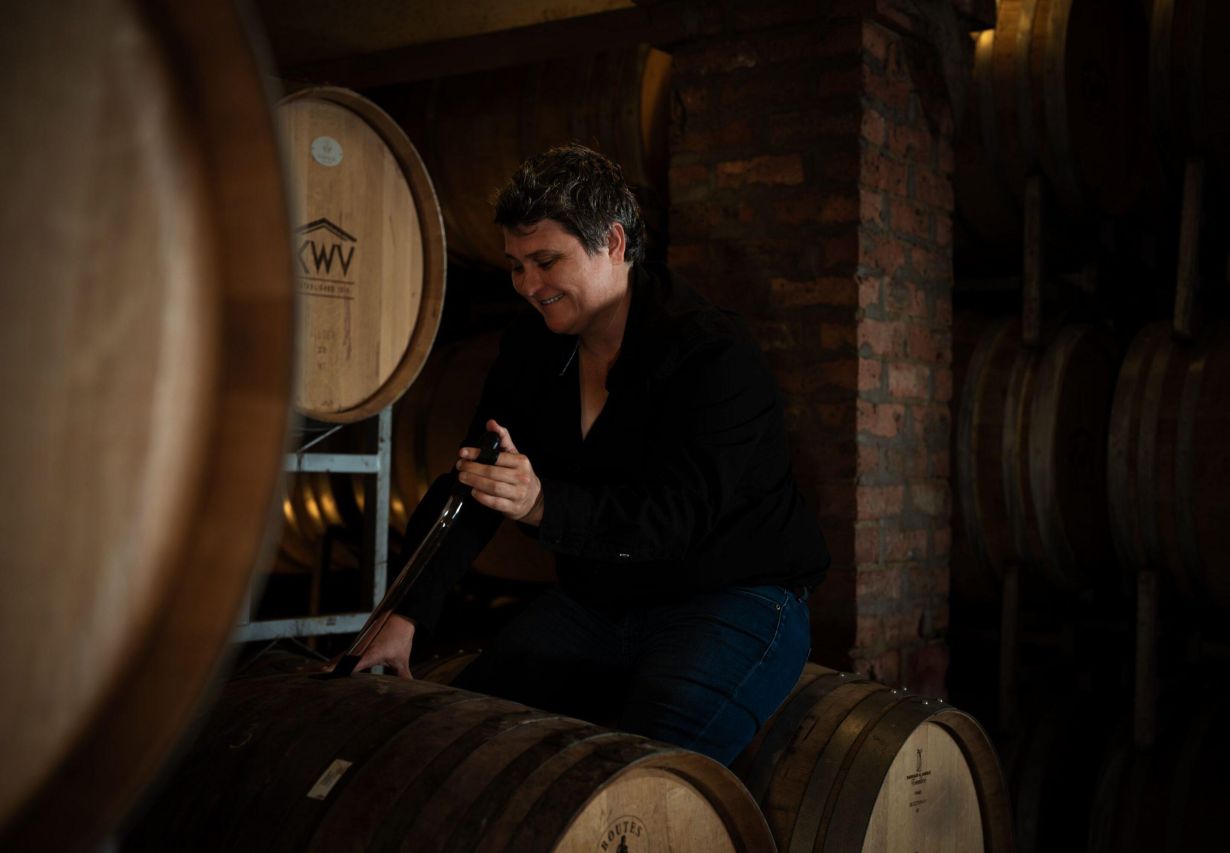 LTD winemaker 4 1