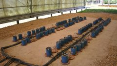 Winery wastewater irrigation Part 4