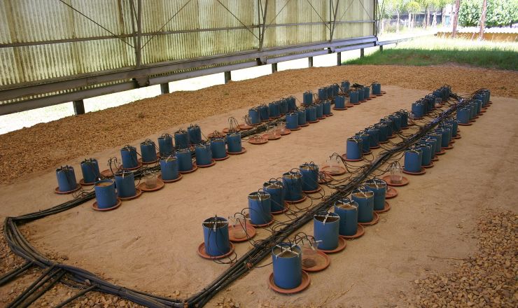Winery wastewater irrigation Part 4