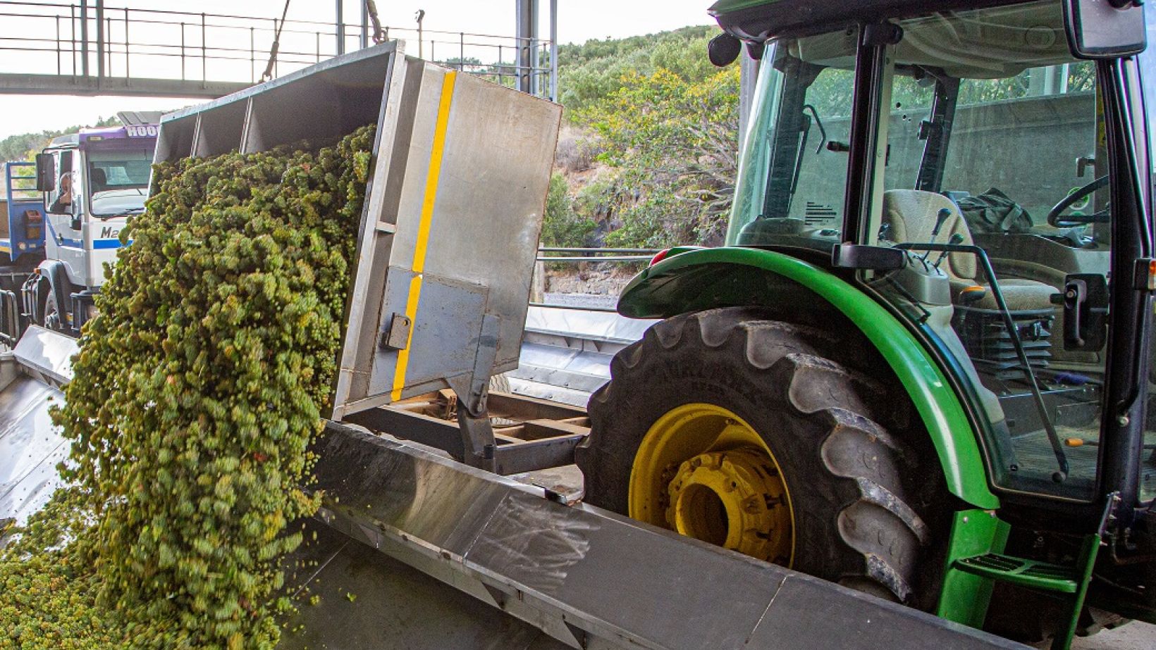 Post-harvest