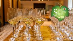 Sauvignon Blanc SA judging 2 landscape 1