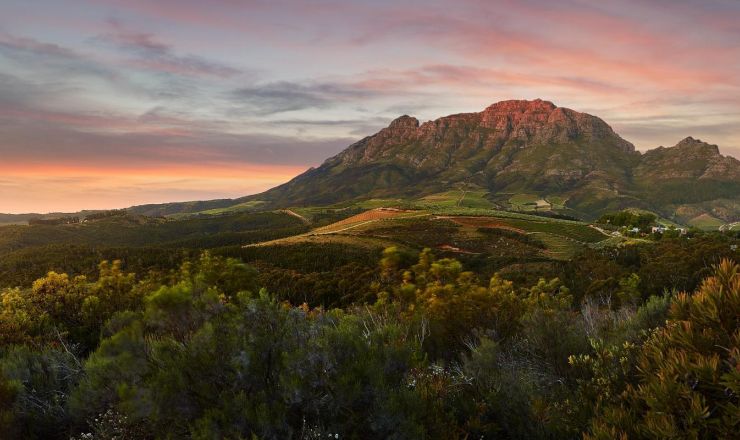Simonsberg feature image