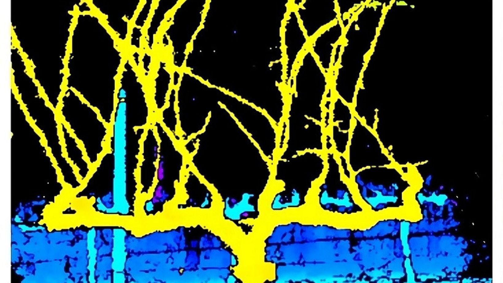 Vines