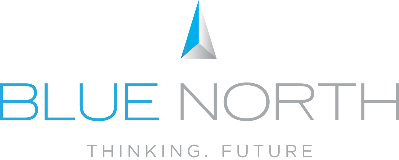 Blue North Logo
