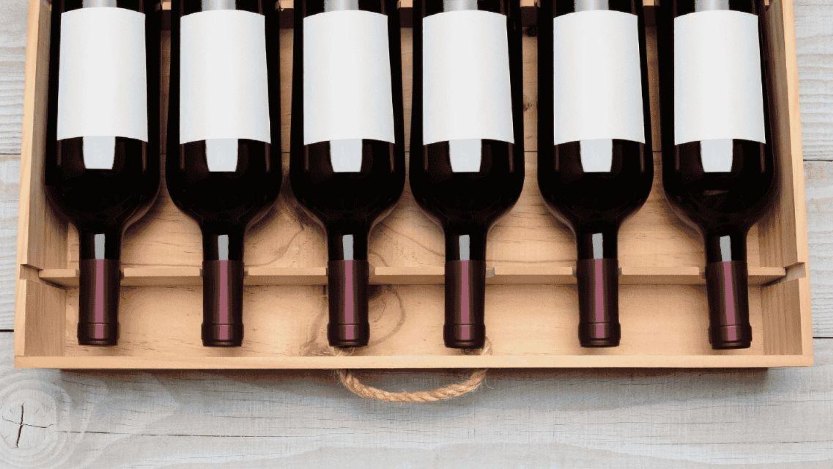 Website feature image 17 2