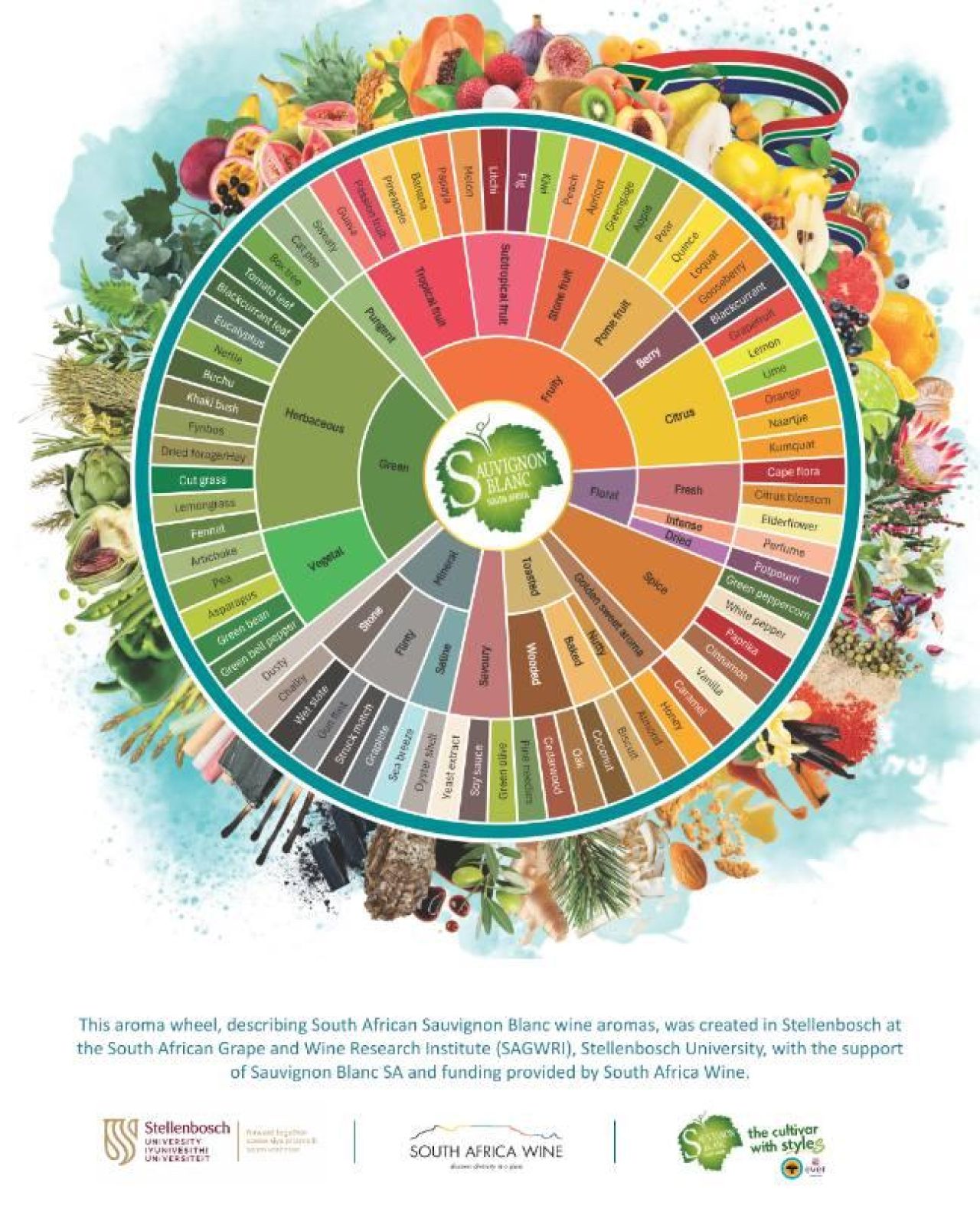 Aroma wheel sauvignon blanc media 1