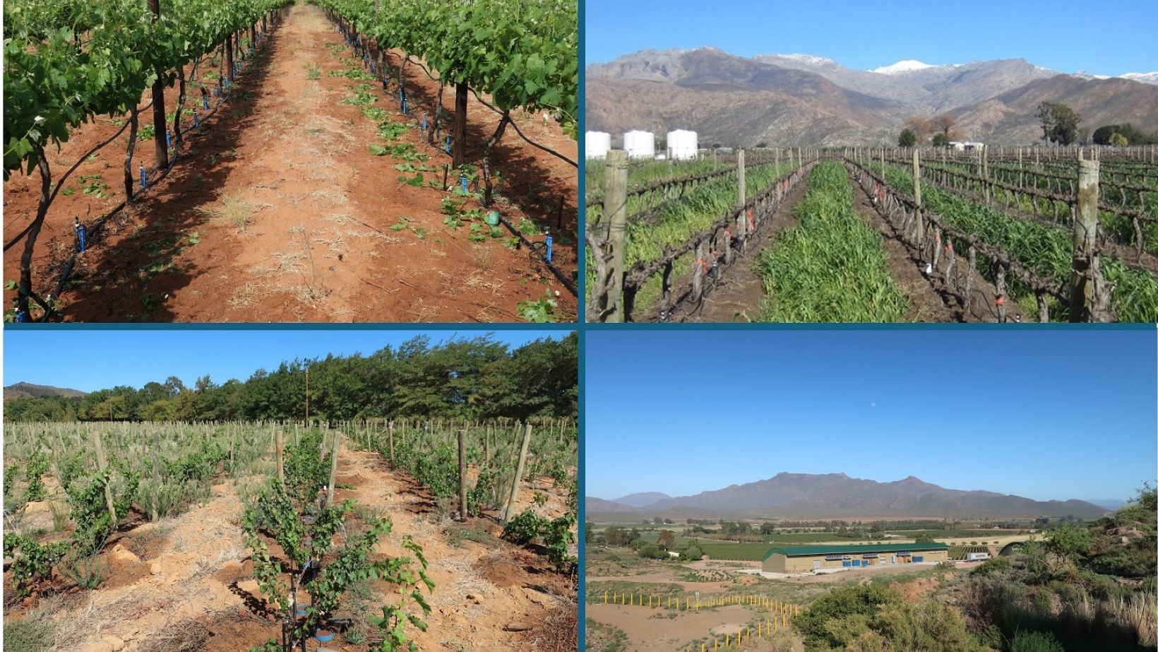 Winery wastewater
