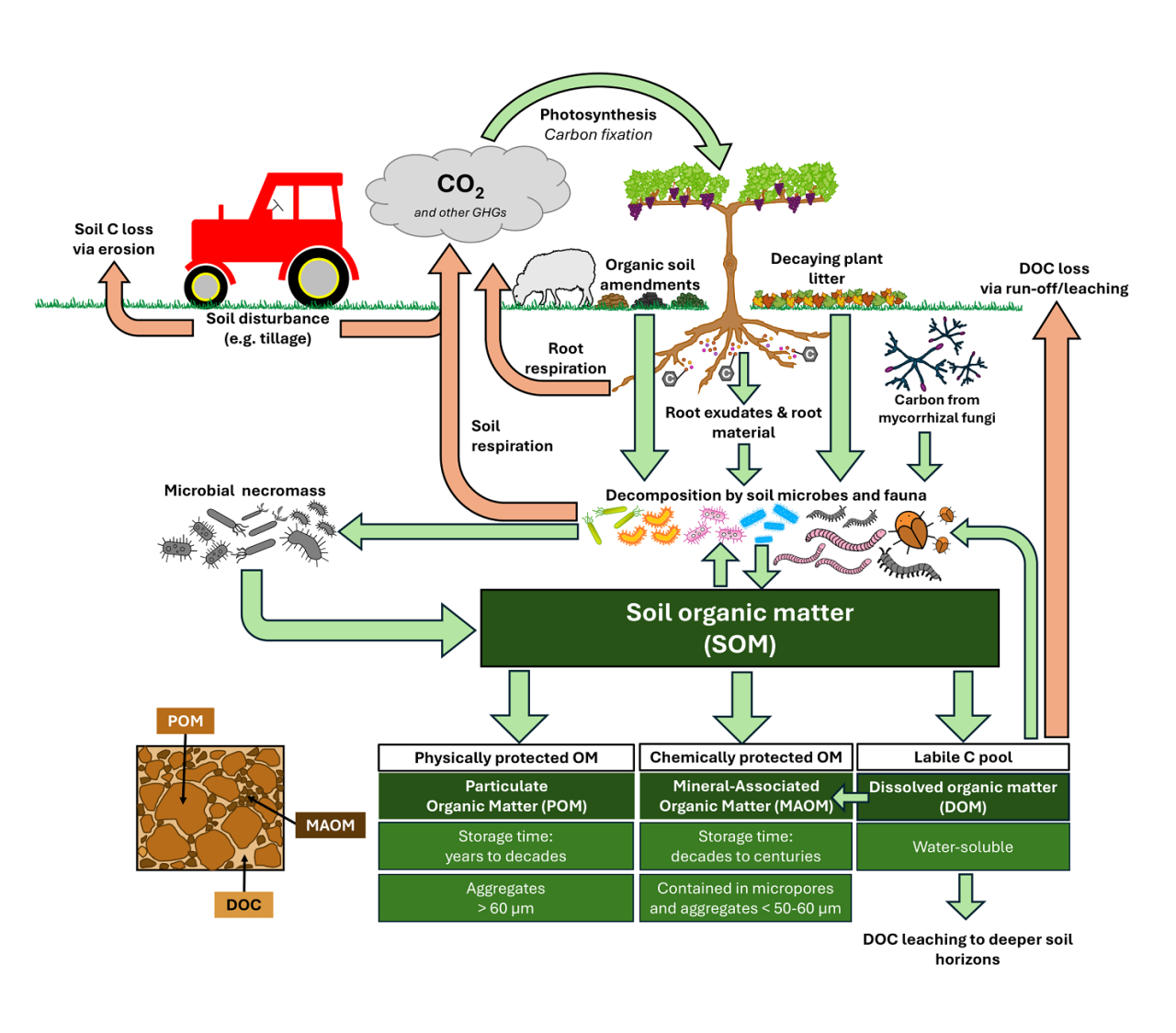 Rooted in research Part 1 Figure 2 1