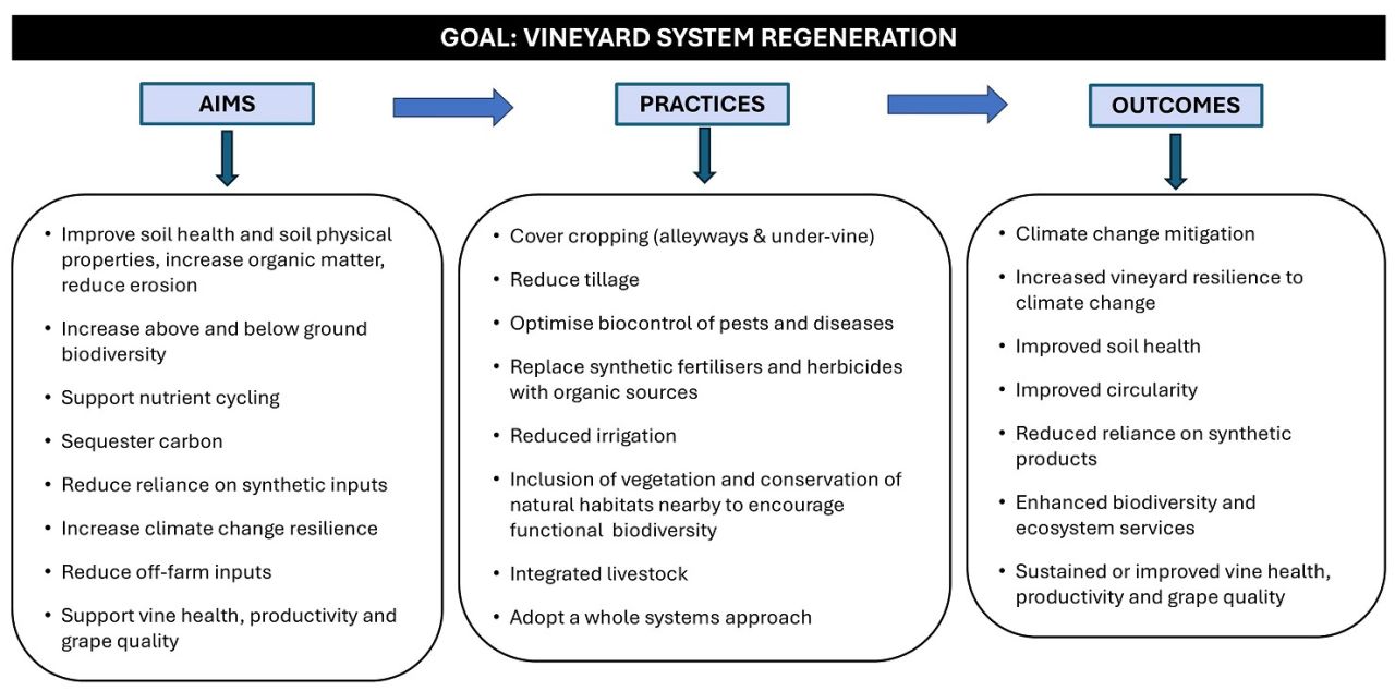 Rooted in research Part 1 Figure 1 1