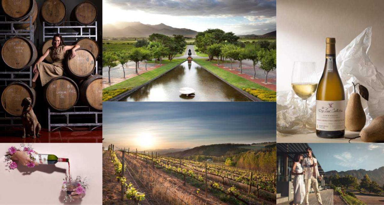 Website feature image 2 2