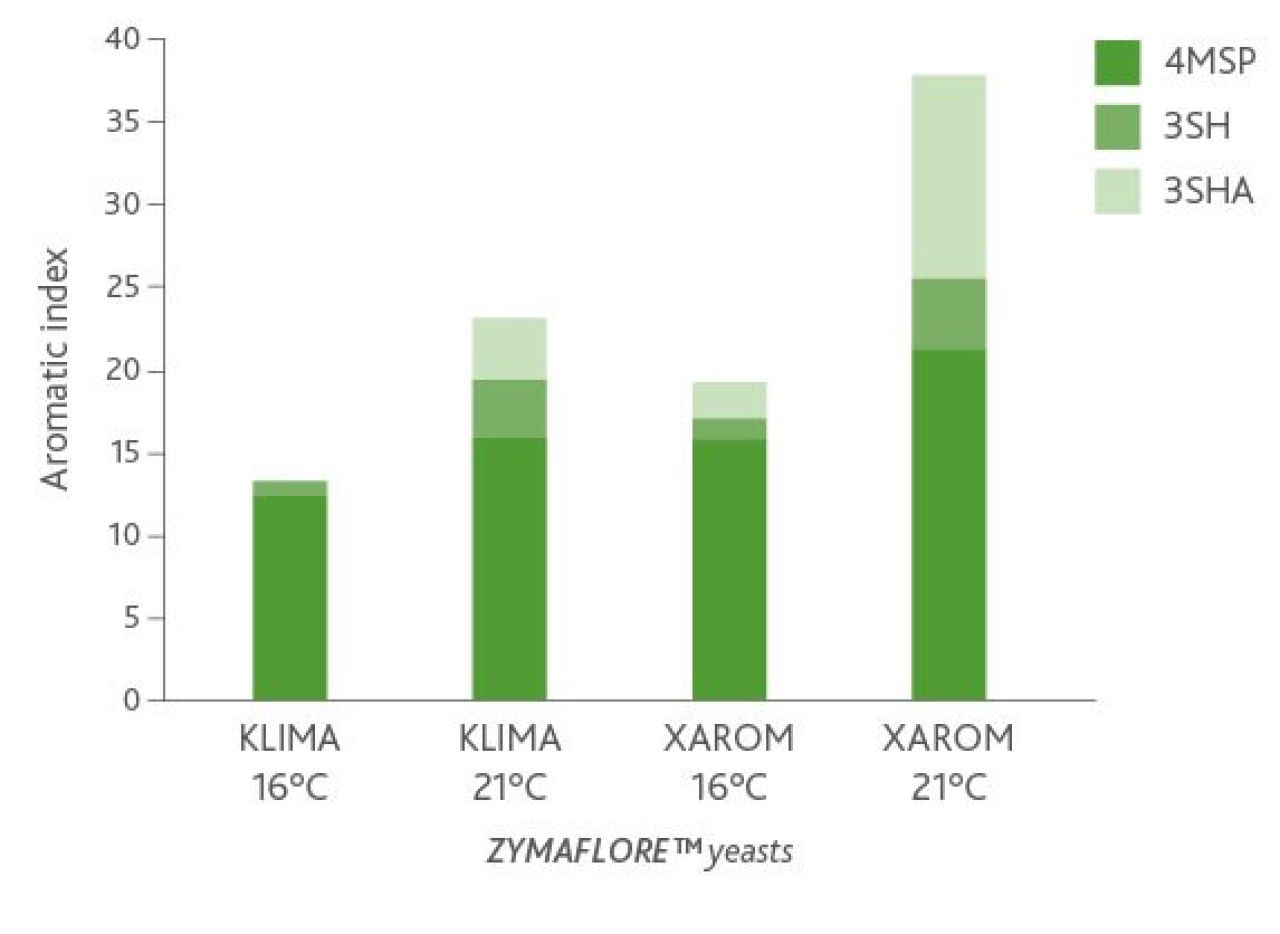 Wine yeasts energy saving in wineries Figure 1 1