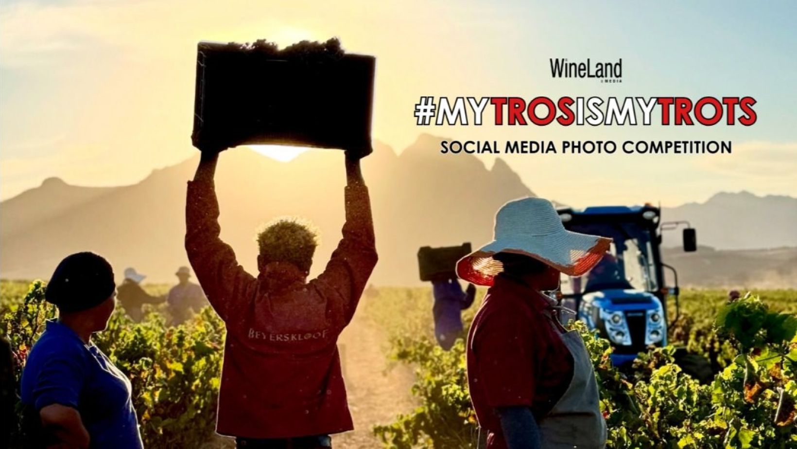 Mytrosismytrots2026 Website