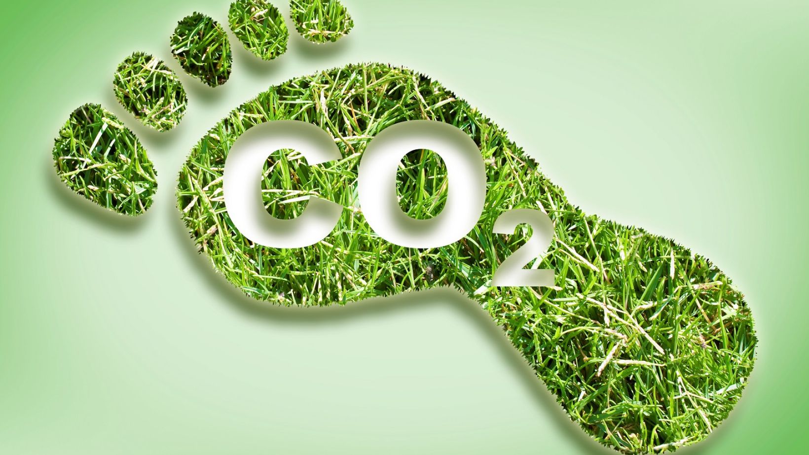 Carbon footprint concept image with CO2 text against footprint in grass shape - CO2 Neutral and ecological concept with foot symbol.