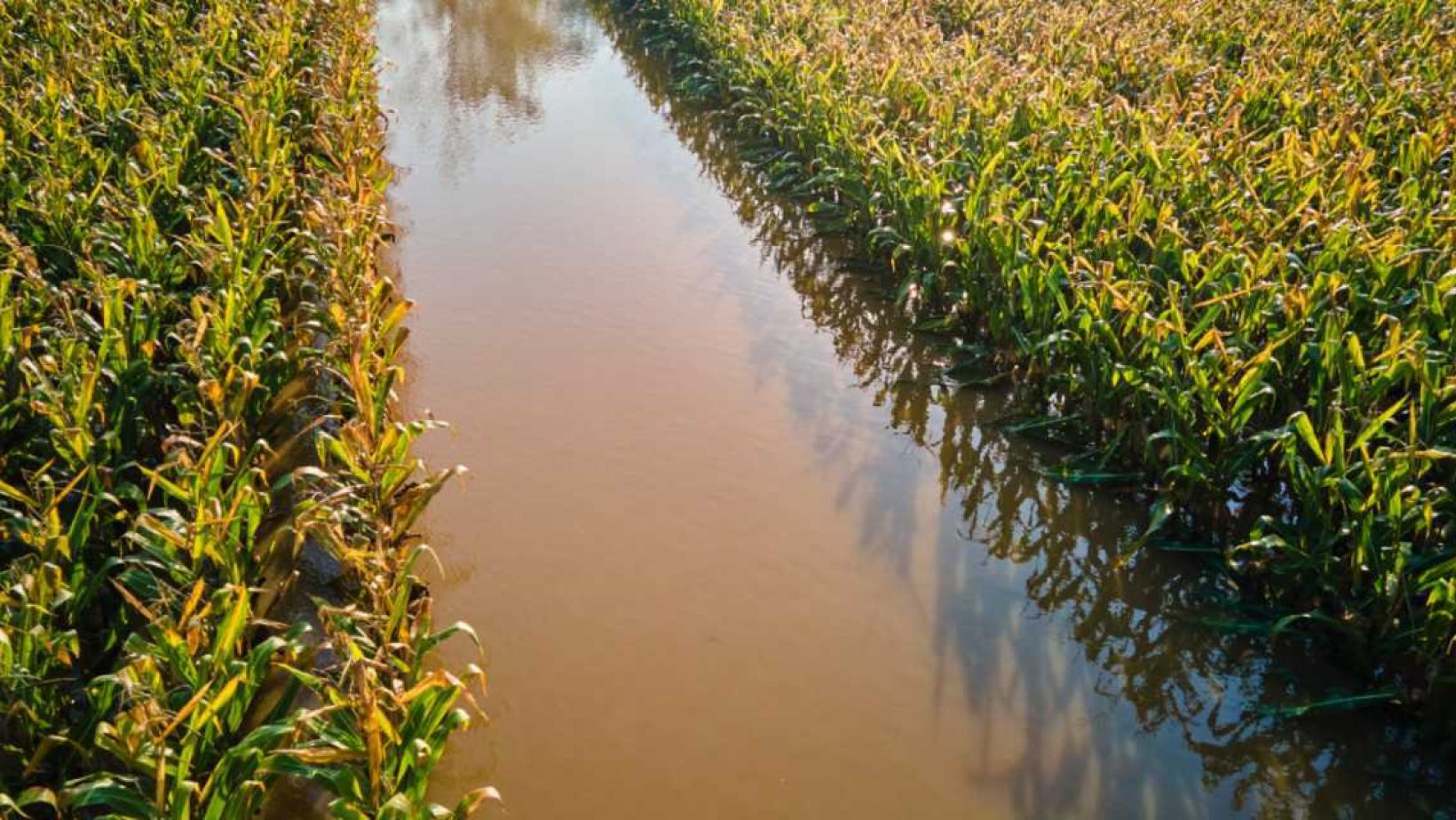 Flood damage