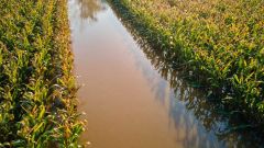 Flood damage