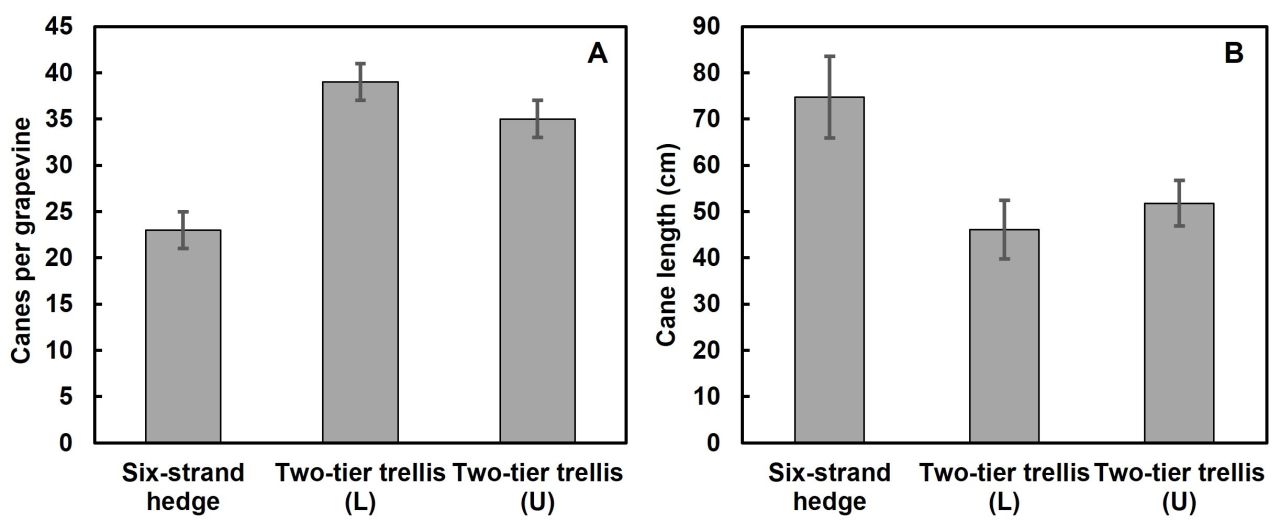 Irrigation strategy trellis system Part 1 Figure 3