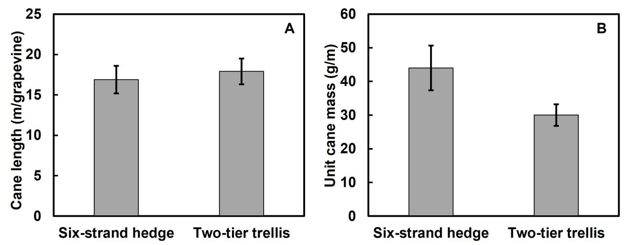 Irrigation strategy trellis system Part 1 Figure 4