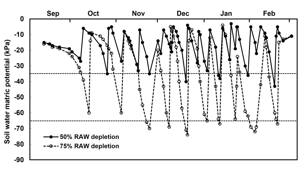Irrigation strategy trellis system Part 1 Figure 2