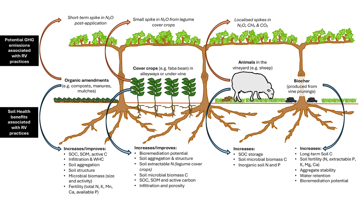 Rooted in research Part 3 Figure 1