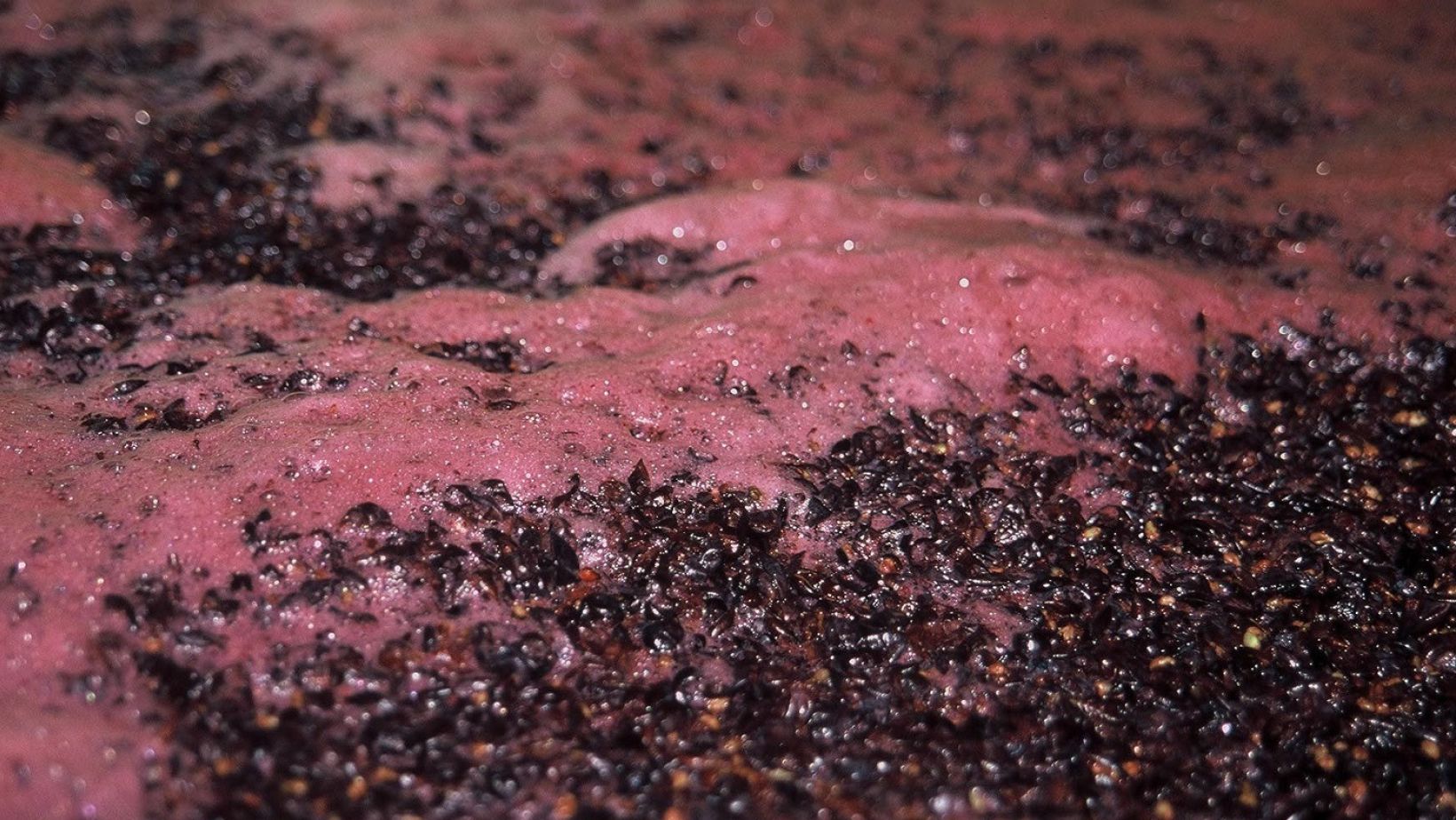 Nicotinic acid deficiency impacts wine fermentation efficiency Flickr