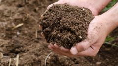 Soil textures influence on soil biological health indicators Shutterstock