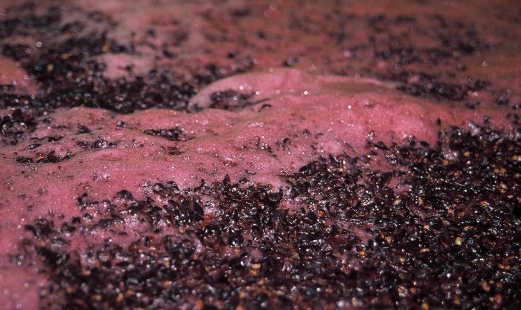 Nicotinic acid deficiency impacts wine fermentation efficiency Flickr