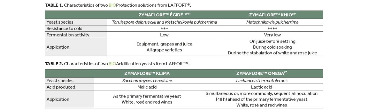 Wine Land Maart 2026 HR SINGLE 63 page 0001