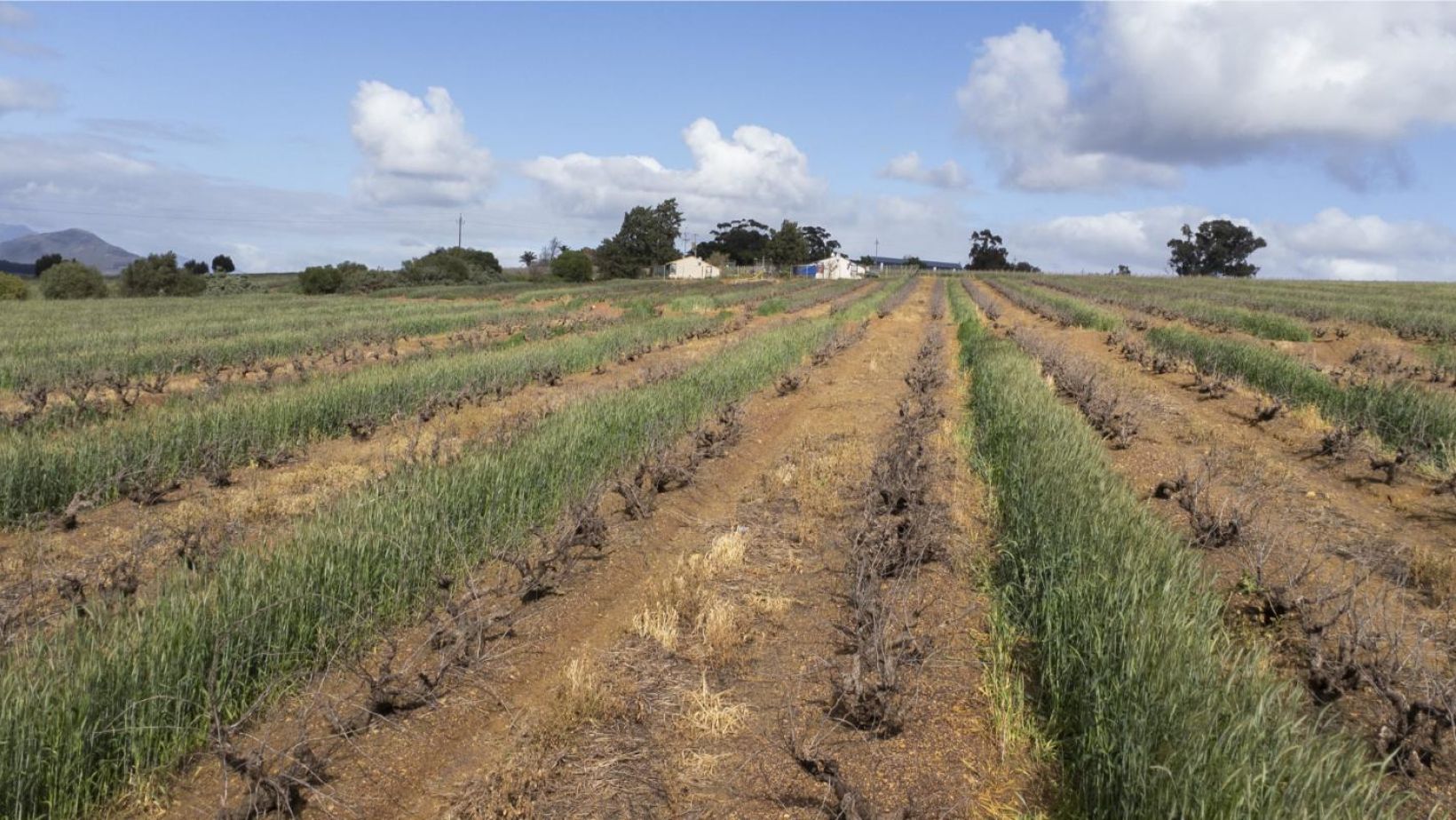 Dry Farming Eenzaamheid feature
