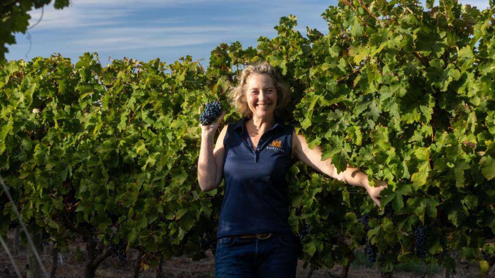 Backsberg Family Wines