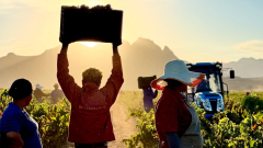 Website feature image