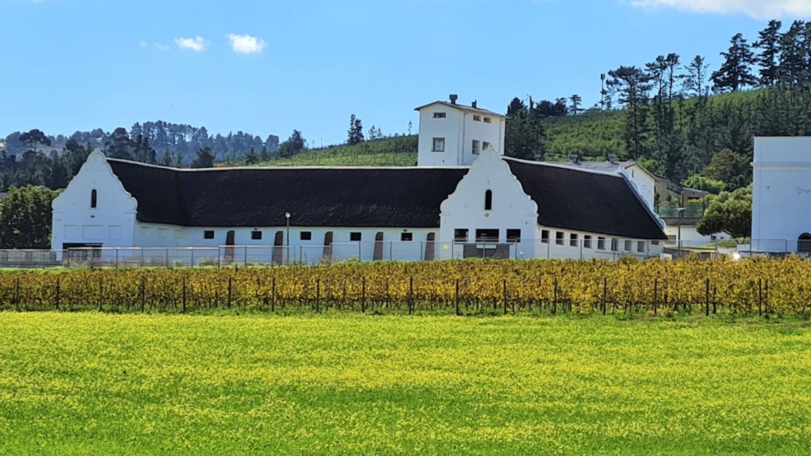 Nietvoorbij-Cellar