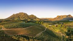 Tokara feature 1500