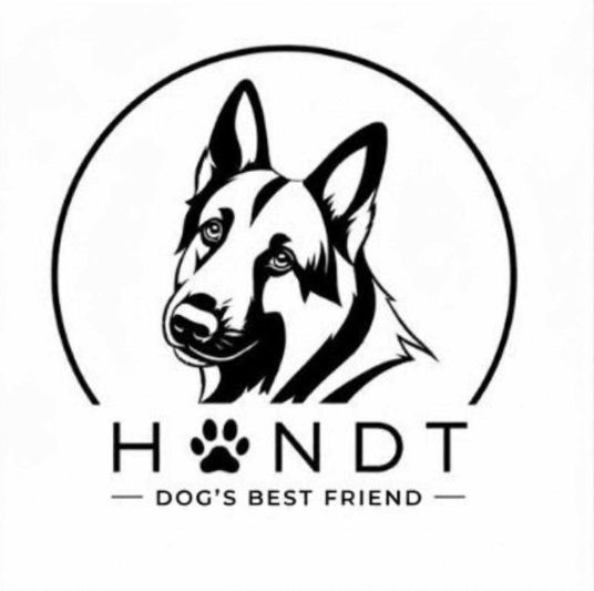 Hondt
